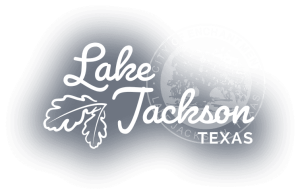 Top Things to do in Lake Jackson, Limo, Limousine, Party Bus, Shuttle, Charter, Birthday, Bachelor, Bachelorette Party, Wedding, Funeral, Brewery Tours, Winery Tours, Houston Rockets, Astros, Texans